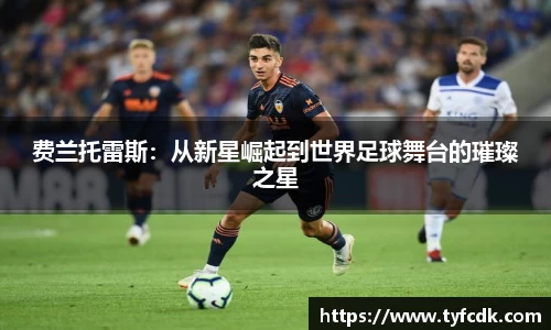 费兰托雷斯：从新星崛起到世界足球舞台的璀璨之星